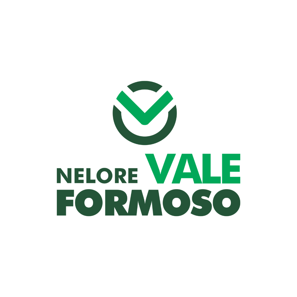 Logo da empresa parceira Nelore Vale Formoso